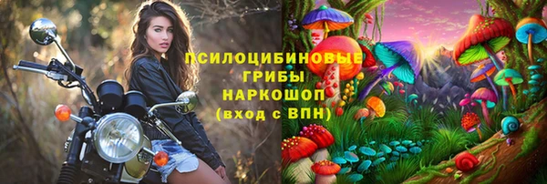 альфа пвп Бородино
