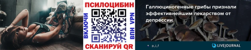 Галлюциногенные грибы Magic Shrooms  Купить закладки  Краснокаменск 